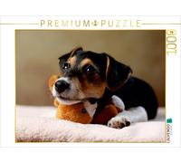 CALVENDO Puzzle Liu - Jack Russell-Terrier, 10 Wochen 1000 Teile Puzzle quer | 1