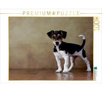 CALVENDO Puzzle Liu - Jack Russell Terrier, 10 Wochen 1000 Teile Puzzle quer | 1