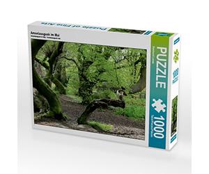CALVENDO Puzzle L'observatoire des merles en mai 1000 Pieces 64 x 48 cm from Bernhard Loewa