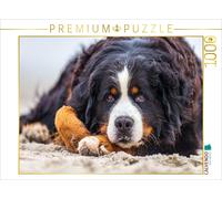 CALVENDO Puzzle Schau Mir in Die Augen... 1000 Teile Puzzle quer 1000 Pieces 64 x 48 cm from Annett Mirsberger