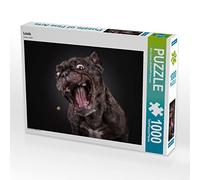 CALVENDO Puzzle Louis 1000 Pieces 64 x 48 cm from Silke Gareis