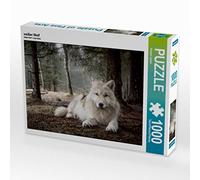 CALVENDO Puzzle Loup Blanc 1000 Pieces 64 x 48 cm from Arnaud