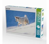 CALVENDO Puzzle Loup des neiges 1000 Pieces 64 x 48 cm from Martina Schikore