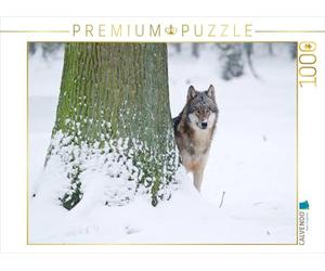 CALVENDO Puzzle Loup en Hiver 1000 Pieces 64 x 48 cm from Wilfried Martin