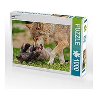 CALVENDO Puzzle Loups 1000 Pieces 64 x 48 cm from Peter Roder