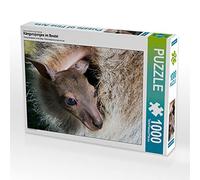 CALVENDO Puzzle Louveteau Kangourou dans Une Pochette 1000 Pieces 64 x 48 cm from Renate Bleicher