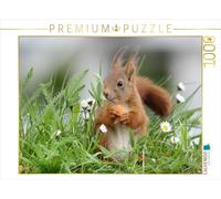 CALVENDO Puzzle Lucien dans la Prairie Fleurie | 1000 pièces - Dimensions : 64 x 48 cm - Puzzle Photo pour des Heures de Bonheur