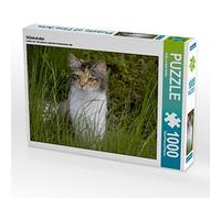 CALVENDO Puzzle Lucky Cat 1000 Pieces 64 x 48 cm from Antje Lindert-Rottke