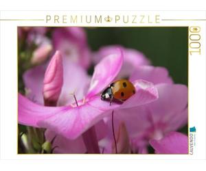 CALVENDO Puzzle Lucky Charms 1000 Pieces 64 x 48 cm from Judith Doberstein