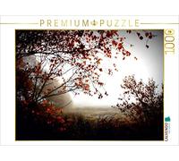CALVENDO Puzzle Lumière d'automne dans la Lande de Pennigbüttel 1000 Pieces 64 x 48 cm from Fotokunst Ulrike Adam