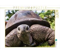 CALVENDO Puzzle L'une des Plus de 300 Tortues géantes des Seychelles sur Curieuse | 1000 pièces de Taille de la Pose 64 x 48 cm Photo Puzzle pour des Heures heureuses