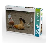 CALVENDO Puzzle Lustige Hühnerschar 1000 Teile Puzzle quer 1000 Pieces 64 x 48 cm from Kattobello