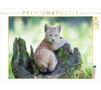 CALVENDO Puzzle Bébé Lynx 1000 Pieces 64 x 48 cm from Wilfried Martin