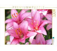 CALVENDO Puzzle Lys en Rose 1000 Pieces 64 x 48 cm from Gisela Kruse