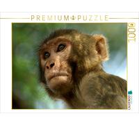 CALVENDO Puzzle Macaques in Thailand | 1000 pieces, finished size 25.2 × 18.9 in
