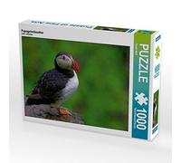 CALVENDO Puzzle Macareux Moine 1000 Pieces 64 x 48 cm from Gerald Wolf