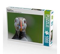 CALVENDO Puzzle Macareux Moine 1000 Pieces 64 x 48 cm from Gerald Wolf