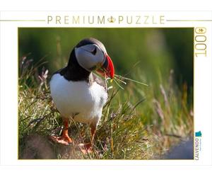 CALVENDO Puzzle Macareux Moine 1000 Pieces 64 x 48 cm from Hawkeyes-Pictures