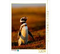 CALVENDO Puzzle Magellan-Pinguin 1000 Teile Puzzle Hoch 1000 Pieces 48 x 64 cm from Heike Odermatt