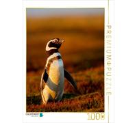 CALVENDO Puzzle Magellan-Pinguin 1000 Teile Puzzle hoch | 1000 Teile Lege-Größe