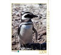 CALVENDO Puzzle Magellanic Penguin in Punta Tombo | 1000 pieces, finished size 2