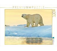 CALVENDO Puzzle Magnifique Ours Polaire Devant Un Brillant Coucher de Soleil. 1000 Pieces 64 x 48 cm from Verlag