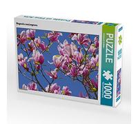 CALVENDO Puzzle Magnolia soulangeana 1000 Teile Puzzle quer 1000 Pieces 64 x 48 cm from Christine Brendle-Behnisch Müller
