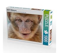 CALVENDO Puzzle Magot/Singe DE BARBARIE 1000 Pieces 64 x 48 cm from Matthias Besant