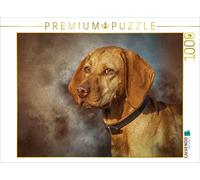 CALVENDO Puzzle Magyar Vizsla 1000 Pieces 64 x 48 cm from Alexandra Hollstein