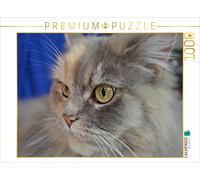 CALVENDO Puzzle Maine Coon 1000 Teile Puzzle quer 1000 Pieces 64 x 48 cm from Jennifer Chrystal