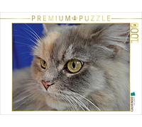 CALVENDO Puzzle Maine Coon 1000 Teile Puzzle quer 1000 Pieces 64 x 48 cm from Jennifer Chrystal