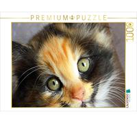 CALVENDO Puzzle Maine Coon Mix | 1000 pieces, finished size 25.2 × 18.9 in (64 ×