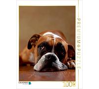 CALVENDO Puzzle Maja, 3 Ans 1000 pièces Taille de Pose 48 x 64 cm Photo Puzzle Image de Jana Behr