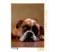 CALVENDO Puzzle Maja, 3 Jahre 1000 Teile Puzzle hoch | 1000 pieces, finished siz