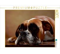 CALVENDO Puzzle Maja - Amerikanischer Boxer, 3 Jahre 1000 Teile Puzzle quer | 10