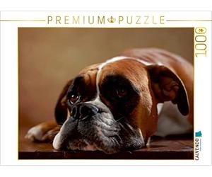 CALVENDO Puzzle Maja - Boxeur Américain 3 Ans 1000 pièces Taille de la Pose 64 x 48 cm Photo Puzzle Image de Jana Behr