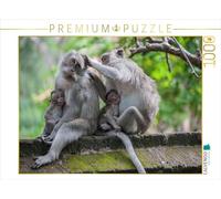 CALVENDO Puzzle Makaken 1000 Teile Puzzle quer 1000 Pieces 64 x 48 cm from Dieter Gödecke