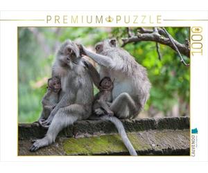 CALVENDO Puzzle Makaken 1000 Teile Puzzle quer 1000 Pieces 64 x 48 cm from Dieter Gödecke