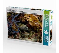 CALVENDO Puzzle Maldives - Le Monde sous-Marin coloré 1000 Pieces 64 x 48 cm from Martin Kraus