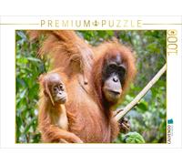 CALVENDO Puzzle Mama Orangutan with Baby | 1000 pieces, finished size 25.2 × 18.