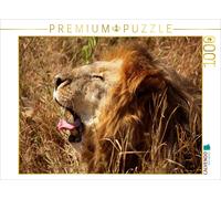 CALVENDO Puzzle Maned lion in the Serengeti | 1000 pieces, finished size 25.2 ×