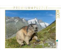 CALVENDO Puzzle Marbre avec Großglockner 1000 Pieces 64 x 48 cm from Alfred Trunk