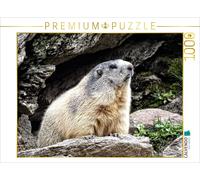 CALVENDO Puzzle Groundhog.....L'air a Un goût de chiotte 1000 Pieces 64 x 48 cm from Susan Michel