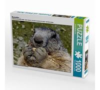 CALVENDO Puzzle Marmotte..... 1000 Pieces 64 x 48 cm from Susan Michel