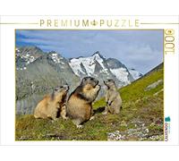 CALVENDO Puzzle Marmottes 1000 Pieces 64 x 48 cm from Alfred Trunk