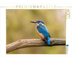 CALVENDO Puzzle Martin-pêcheur en Face sur sa Branche | Taille de la Pose cm Puzzle Photo pour des Heures heureuses