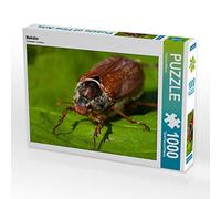 CALVENDO Puzzle Maybug 1000 Pieces 64 x 48 cm from Thomas Willerer