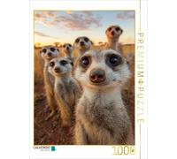 CALVENDO Puzzle Meerkat group in the savannah at sunset | 1000 pieces, finished