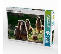 CALVENDO Puzzle Meerkat - Toujours en Alerte 1000 Pieces 64 x 48 cm from Arno Klatt