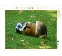 CALVENDO Puzzle Meerschweinchen Dinner 1000 Teile Puzzle quer 1000 Pieces 64 x 48 cm from Kattobello